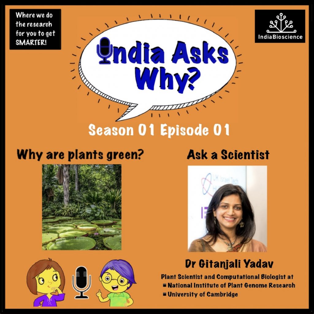 indiaaskswhy-ep-1-why-are-plants-green-scitales