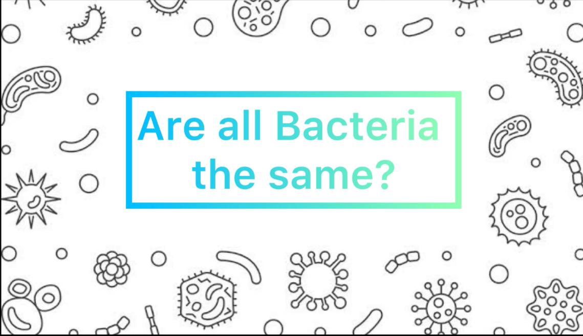 Are all bacteria the same? - SciTales