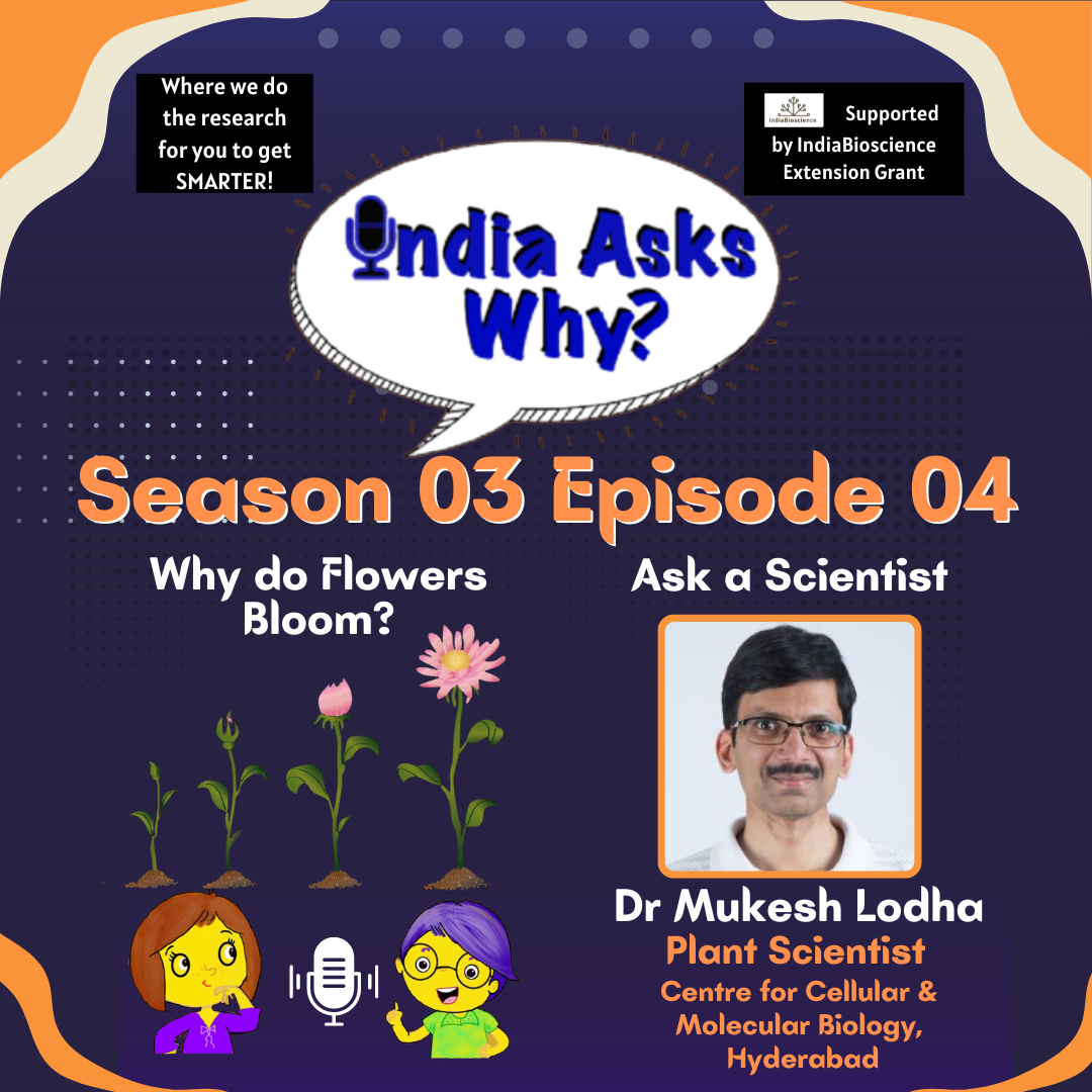 IndiaAsksWhy Season 3 Episode 4 Why do flowers bloom? SciTales