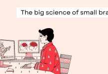 The big science of small brains
